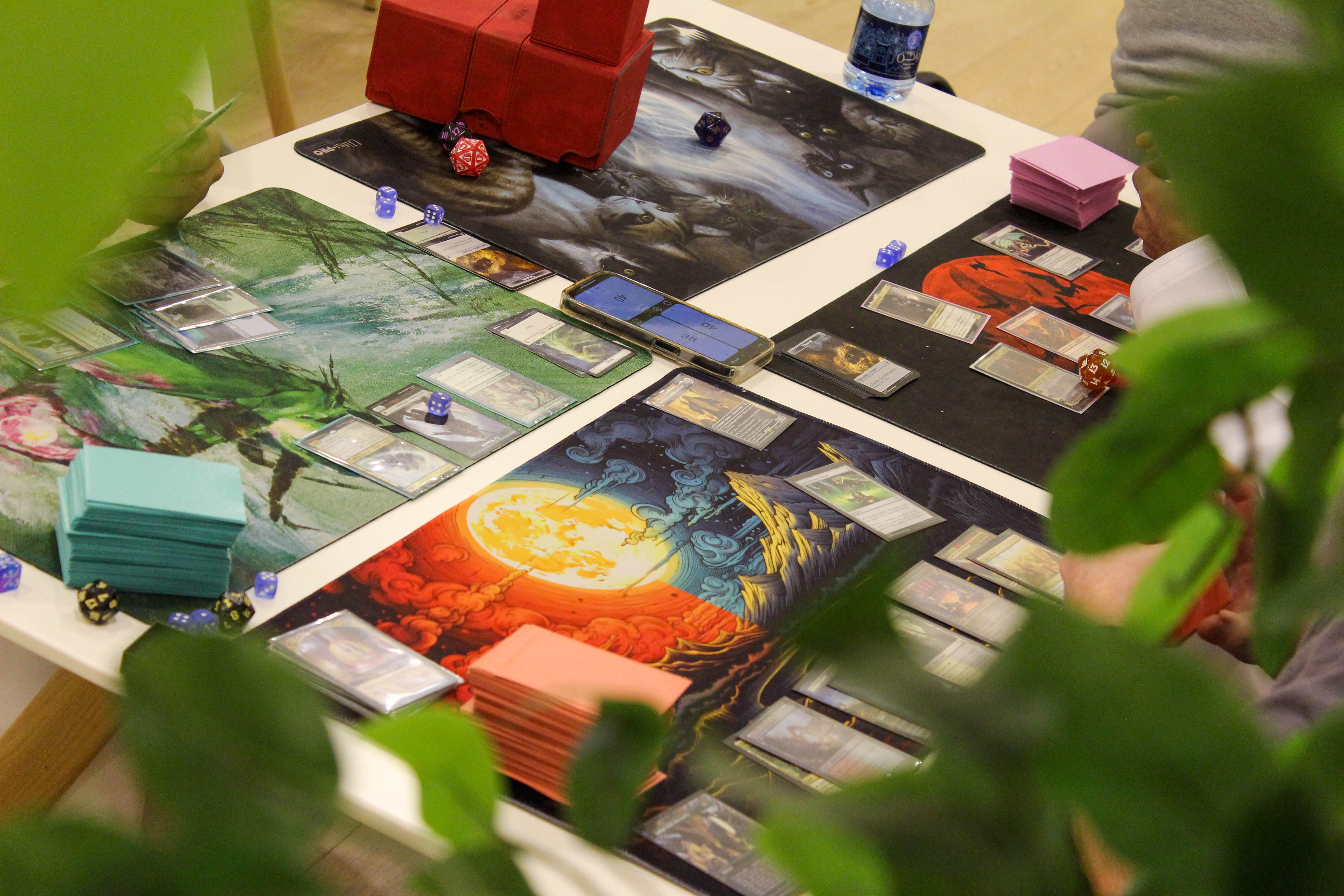 Community Image 3